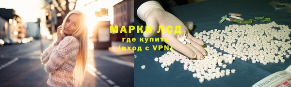 PSILOCYBIN Михайлов
