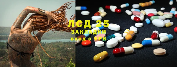 PSILOCYBIN Михайлов