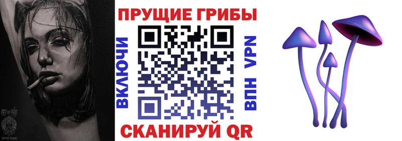 Псилоцибиновые грибы мицелий  Пыталово 